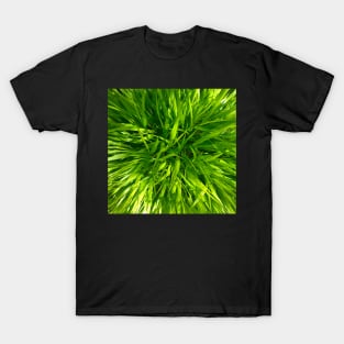 Time for a Rest in the Green Luscious Grass of Heaven T-Shirt